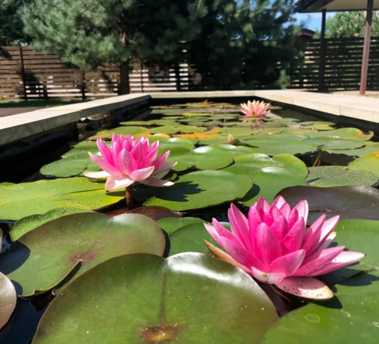 ELBE Pools bazeni Srbija - Oficijalni distributer Aquatec
